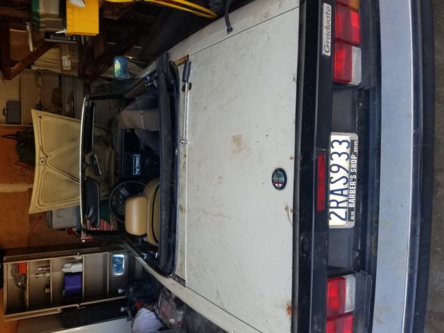 1987 Alfa Romeo Spider - photo 2