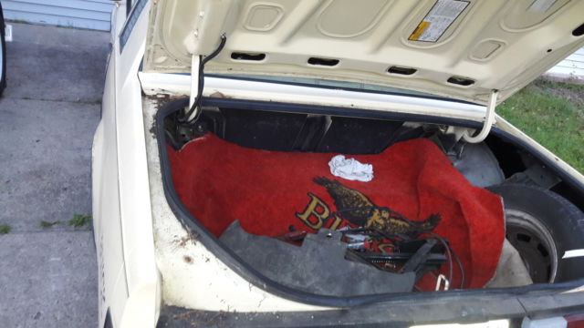 1987 Buick Regal Beige - photo 11