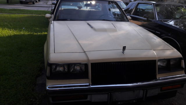 1987 Buick Grand National Brown - photo 8