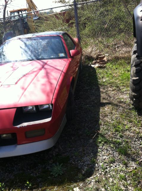 1987 Chevrolet Camaro Z28 - photo 10