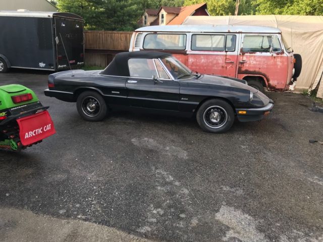 1987 Alfa Romeo Spider Graduate - photo 2