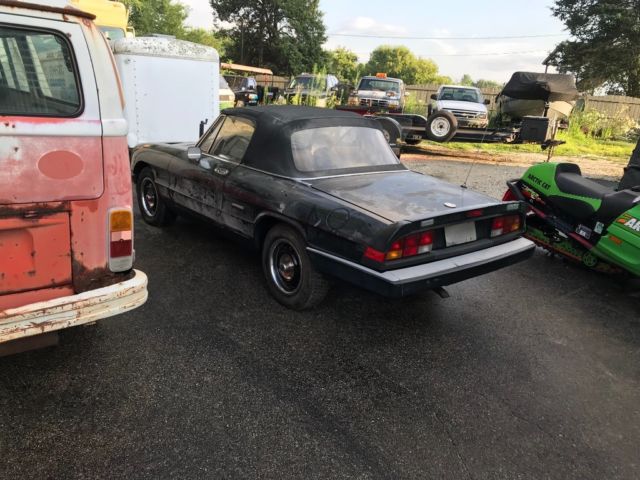 1987 Alfa Romeo Spider Graduate - photo 4