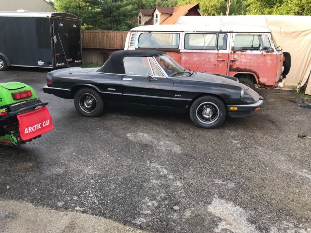 1987 Alfa Romeo Spider Graduate - photo 8
