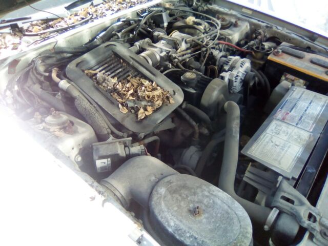1988 Ford Thunderbird - photo 11