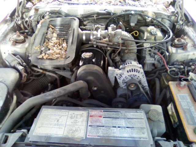 1988 Ford Thunderbird - photo 4