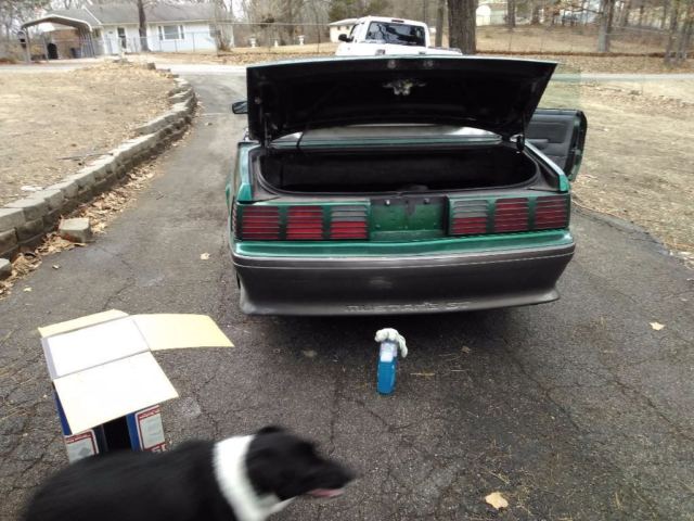 1988 Ford Mustang Gt. - photo 8