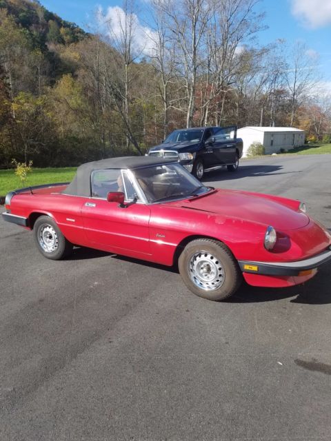 89 Alpha Romeo spider Graduate 1989 Alfa Romeo Spider