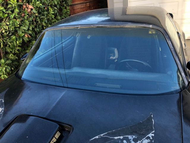 1979 Pontiac Trans Am - photo 9