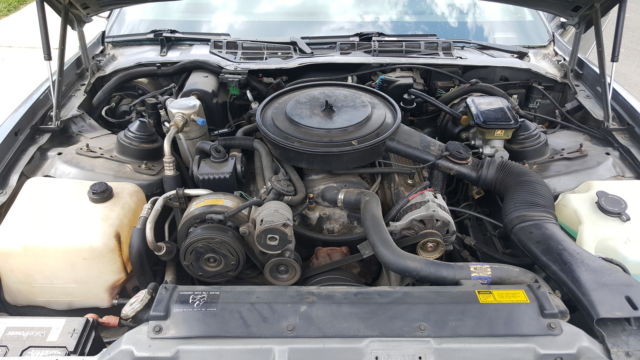 1989 Pontiac Firebird Trans Am - photo 10