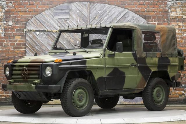 90 250 GD Roll Bar Camouflage Locking Diffs Granny Crawl 1990 Mercedes-Benz G-Class 250GD Wolf
