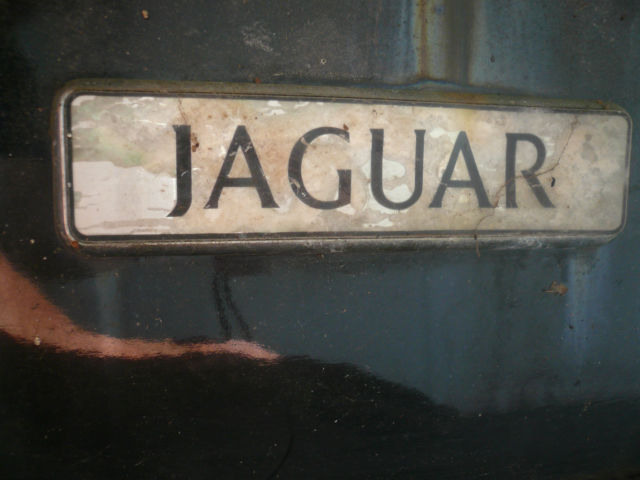 1991 Jaguar XJ6 MJR4 XJ6 - photo 6