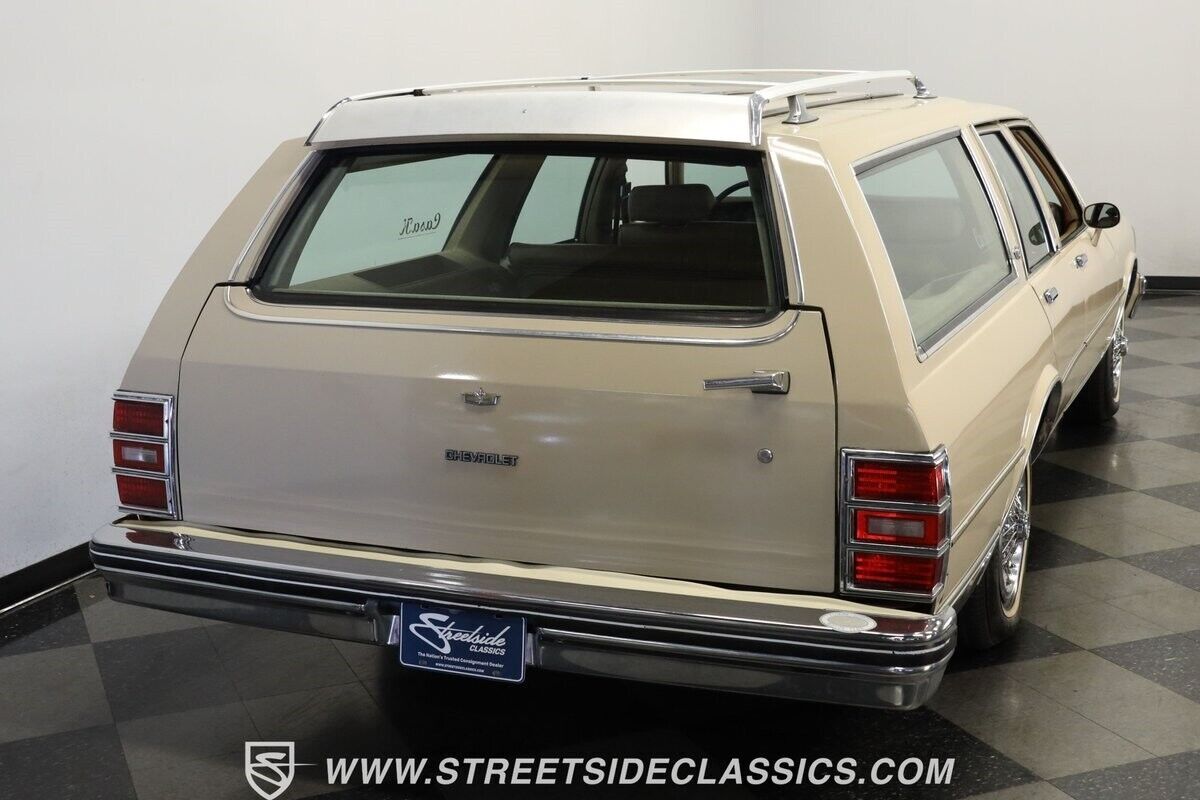 1981 Chevrolet Caprice Classic Wagon - photo 10
