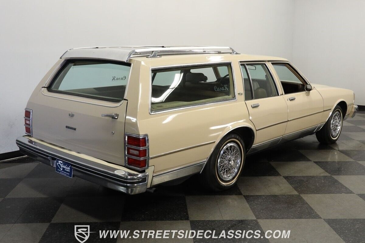 1981 Chevrolet Caprice Classic Wagon - photo 11