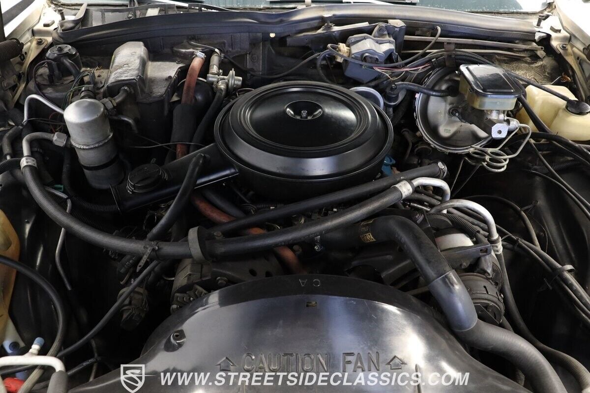 1981 Chevrolet Caprice Classic Wagon - photo 4