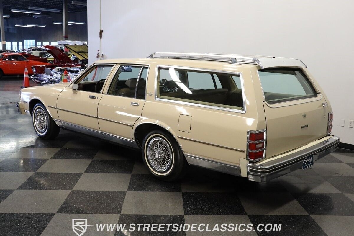 1981 Chevrolet Caprice Classic Wagon - photo 7