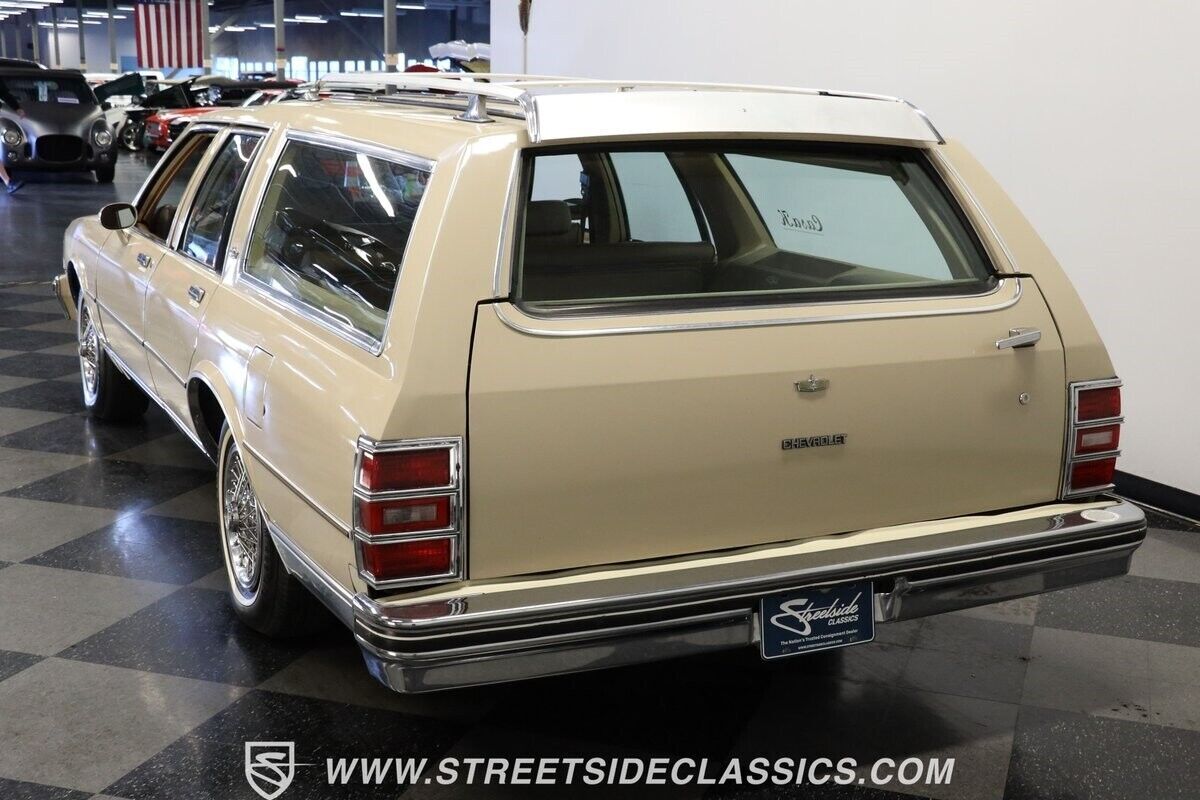 1981 Chevrolet Caprice Classic Wagon - photo 8