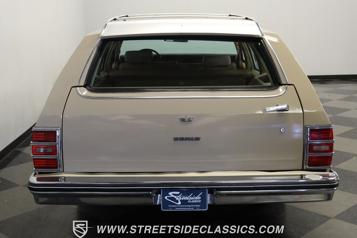 1981 Chevrolet Caprice Classic Wagon - photo 9
