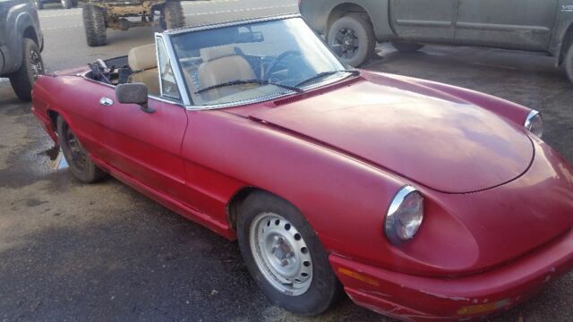 1991 Alfa Romeo Spider 2 Door - photo 9
