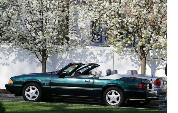 1992 Ford Mustang 2dr Convertible LX Sport 5.0L - photo 2