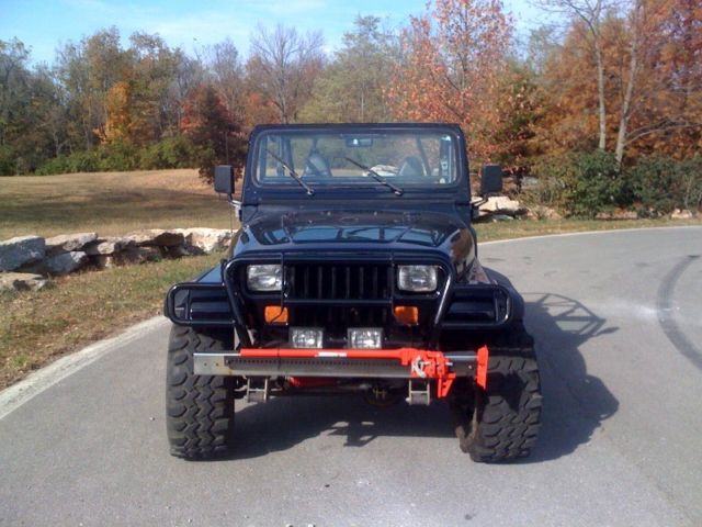 1993 Jeep Wrangler Black - photo 8