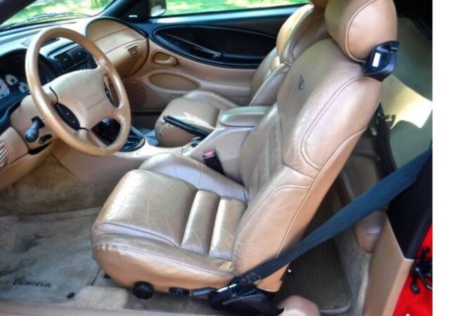 1994 Ford Mustang Cobra - photo 9