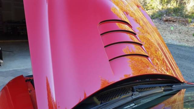 1994 Ford Mustang Cobra - SVT - photo 4