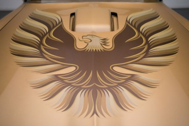 1979 Pontiac Firebird Trans Am - photo 4