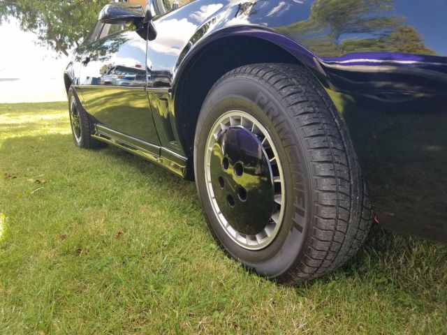 1983 Pontiac Trans Am - photo 9