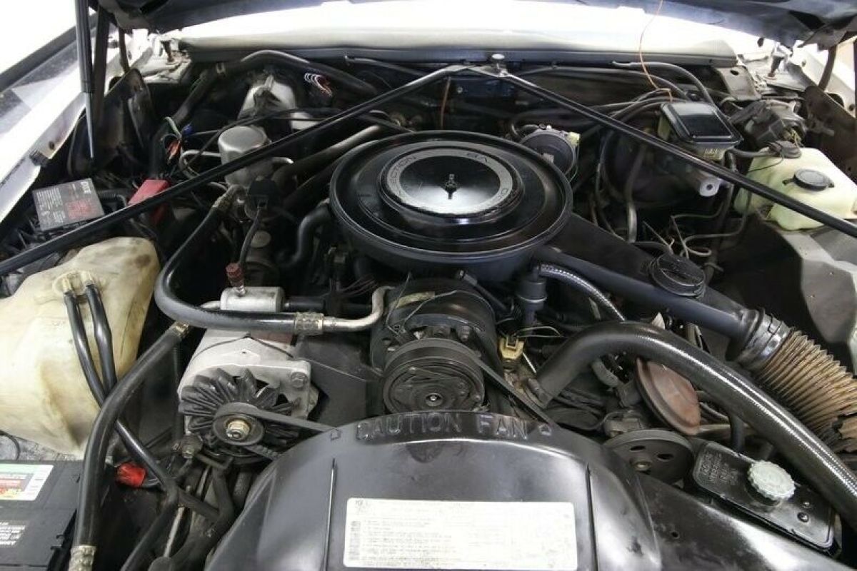 1984 Cadillac Eldorado Biarritz Convertible - photo 4