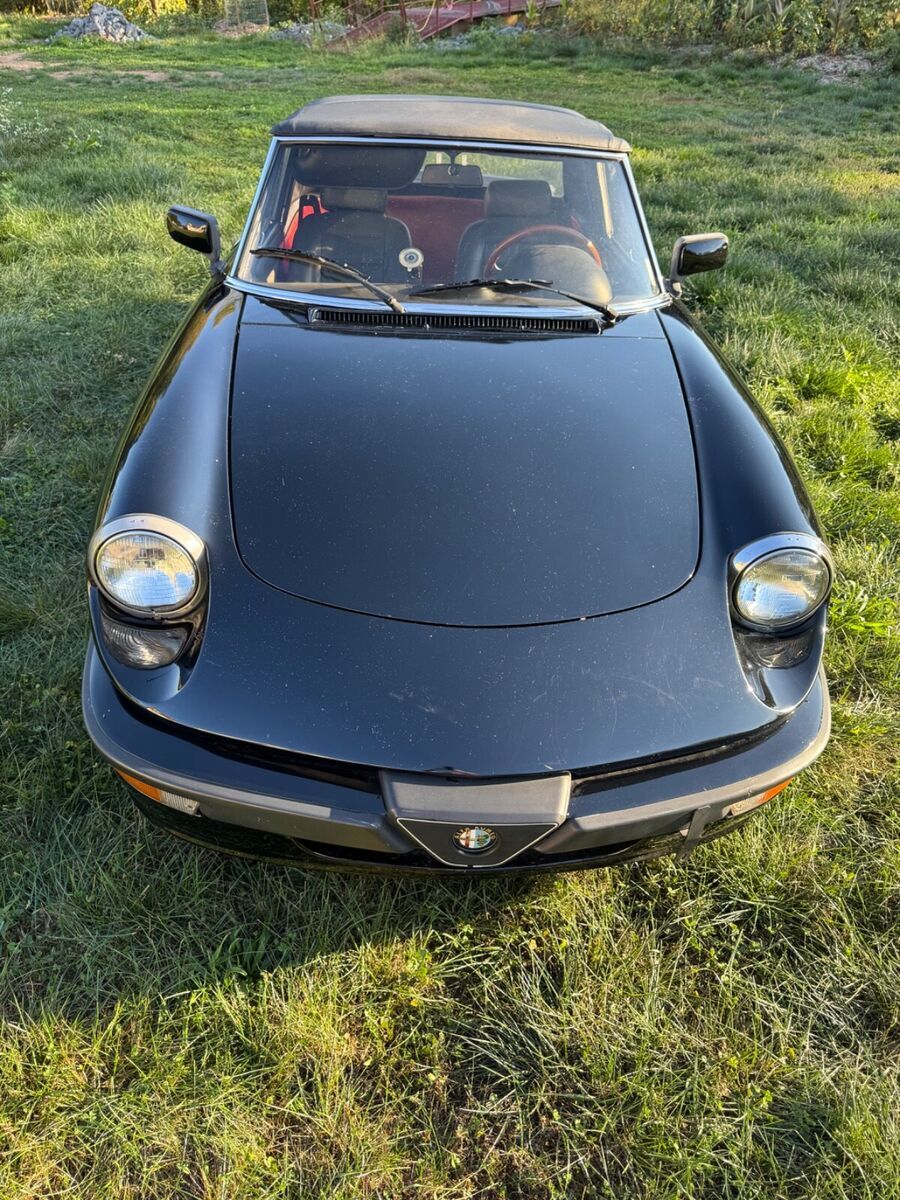 1988 Alfa Romeo Spider Quadrifoglio with 99,132.00 original miles - photo 3