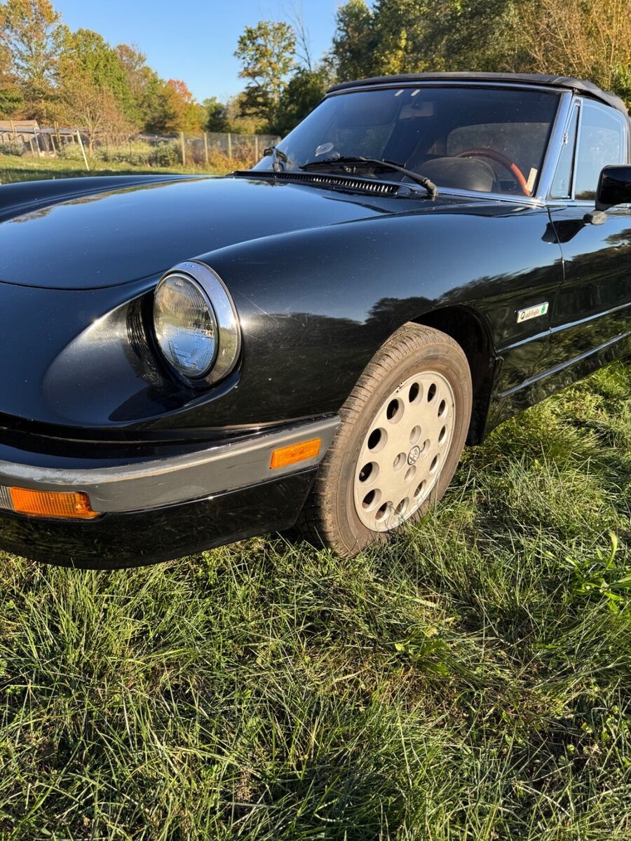 1988 Alfa Romeo Spider Quadrifoglio with 99,132.00 original miles - photo 4