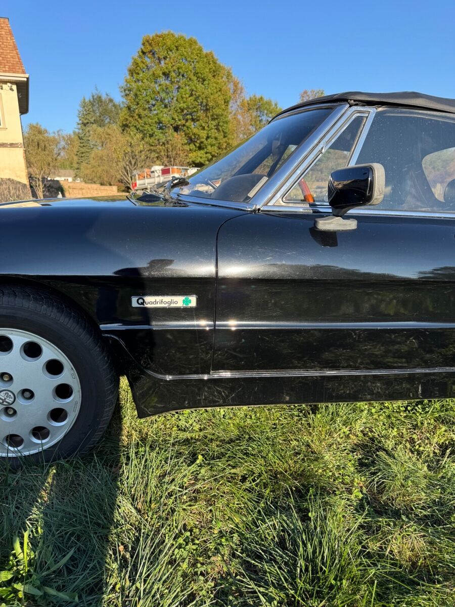 1988 Alfa Romeo Spider Quadrifoglio with 99,132.00 original miles - photo 5