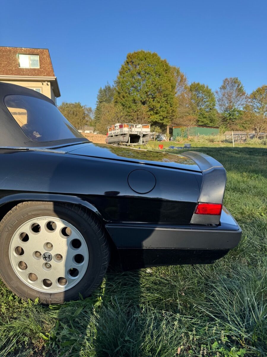 1988 Alfa Romeo Spider Quadrifoglio with 99,132.00 original miles - photo 6