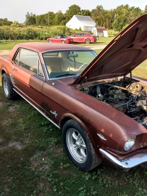 1966 Ford Mustang - photo 3