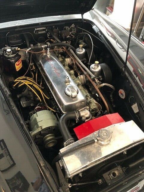 1957 Austin Healey 100-6 - photo 13