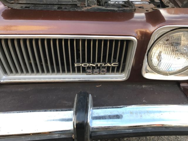 1973 Pontiac Le Mans - photo 5