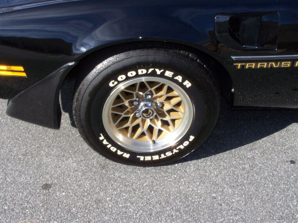 1980 Pontiac Firebird TRANS AM 1-OWNER 6800 ACTUAL FACTUAL MILES BENCHMARK WS6 - photo 13