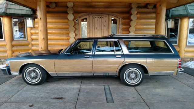 1989 Chevrolet Caprice Caprice Classic Estate Wagon - photo 11