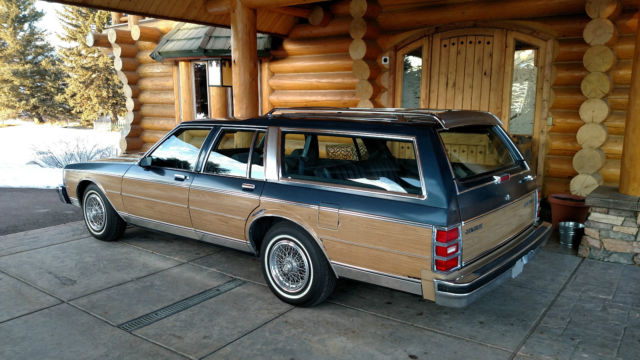 1989 Chevrolet Caprice Caprice Classic Estate Wagon - photo 12