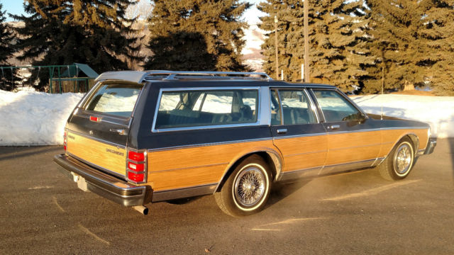 1989 Chevrolet Caprice Caprice Classic Estate Wagon - photo 13