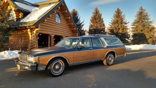 1989 Chevrolet Caprice Caprice Classic Estate Wagon - photo 2
