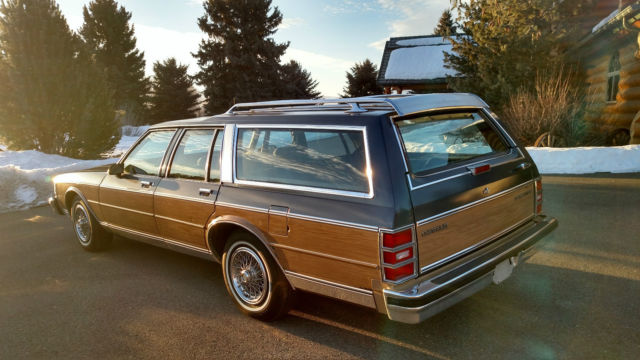 1989 Chevrolet Caprice Caprice Classic Estate Wagon - photo 3
