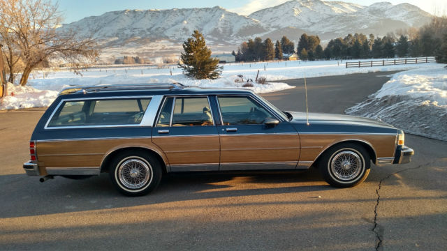1989 Chevrolet Caprice Caprice Classic Estate Wagon - photo 6