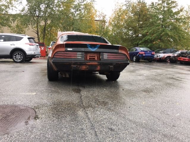 1974 Pontiac Trans Am trans am - photo 2