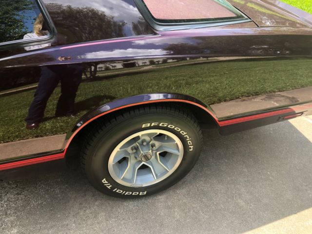 1987 Chevrolet Monte Carlo SS Aero Coupe - photo 10