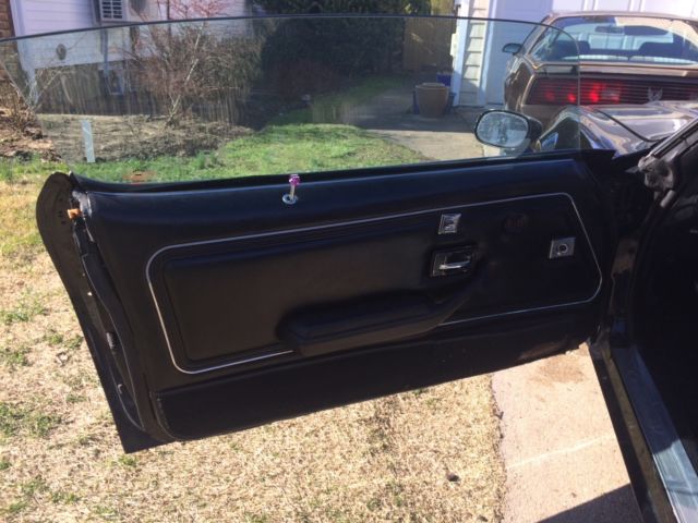 1979 Pontiac Firebird - photo 10