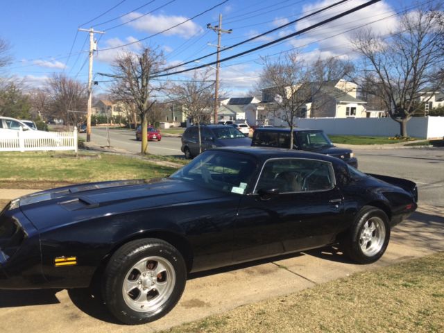 1979 Pontiac Firebird - photo 8