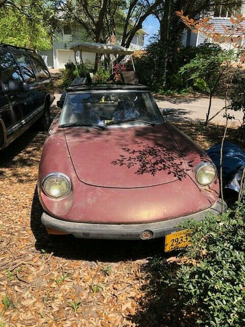Alfa Romeo 1976 Spider project car 1976 Alfa Romeo Spider