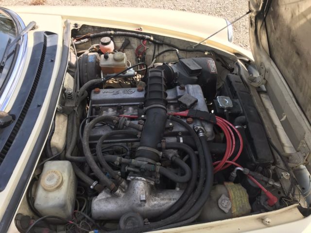 1984 Alfa Romeo Spider Spider Veloce - photo 3