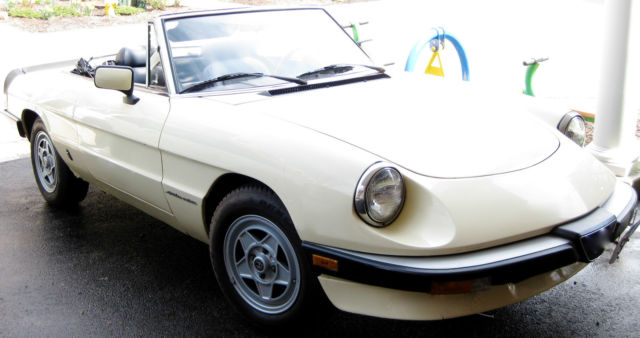 Alfa Romeo 1984 Runs great! Fun car! Great investment! Paint and make serious $! 1984 Alfa Romeo Spider Spider Veloce